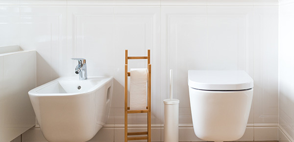 WC | Bidet | Urinal bei Elektro Deliano in Lichtenhaag